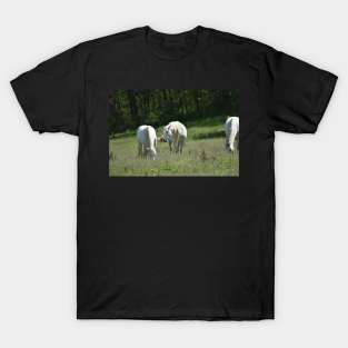 Wild Horses T-Shirt